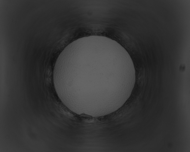 X0000091860866200710031038