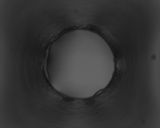 X0000091860867200710031038