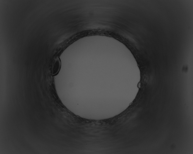 X0000091860869200710031038