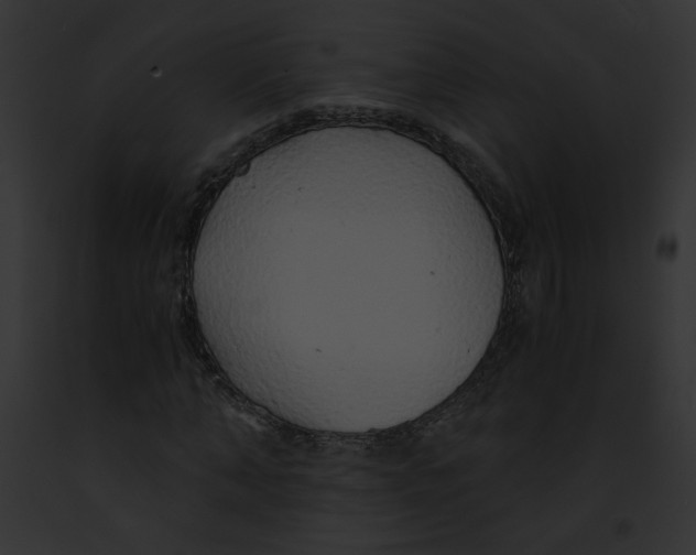 X0000091860870200710031038