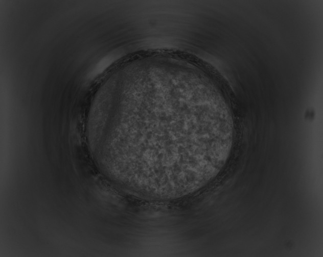 X0000091860871200710031038