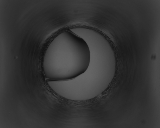 X0000091860872200710031038