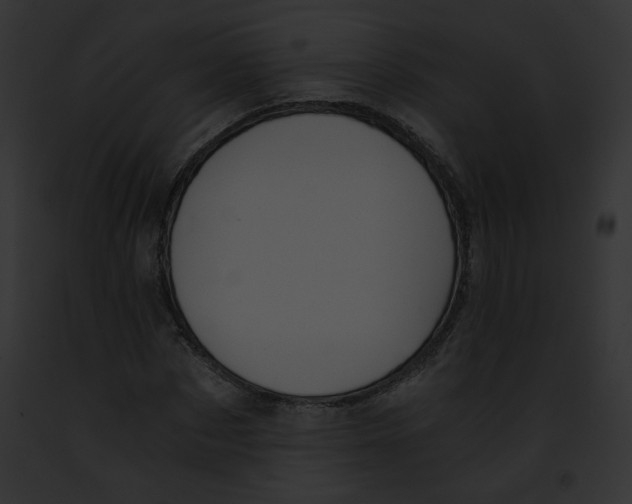 X0000091860873200710031038