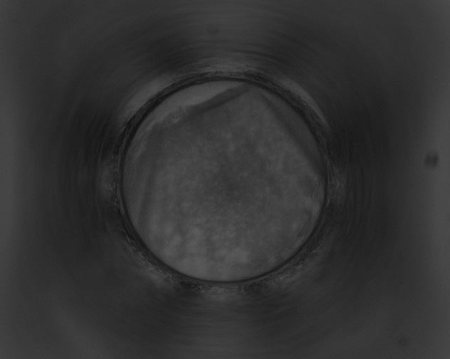 X0000091860874200710031038