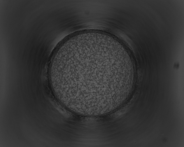 X0000091860875200710031038