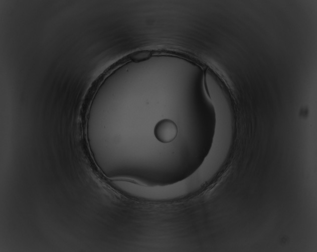 X0000091860876200710031038