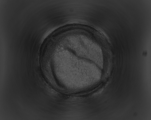 X0000091860877200710031038