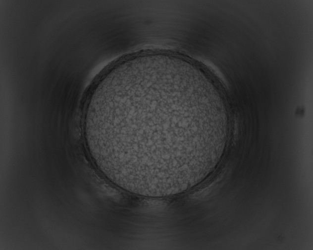 X0000091860878200710031038