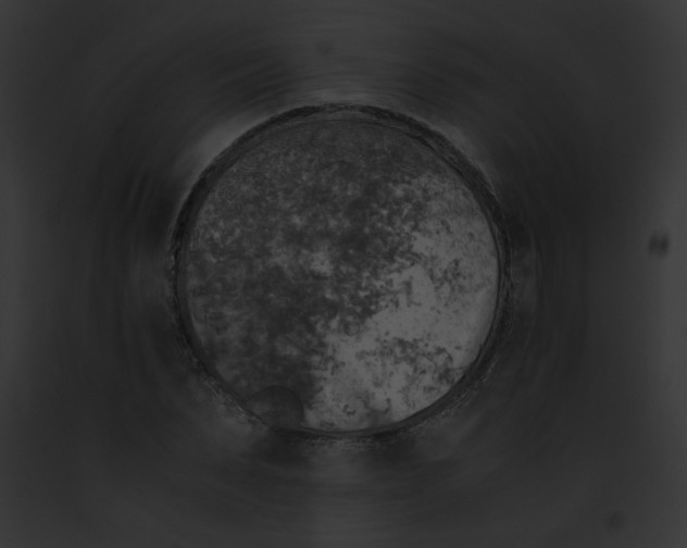 X0000091860879200710031038