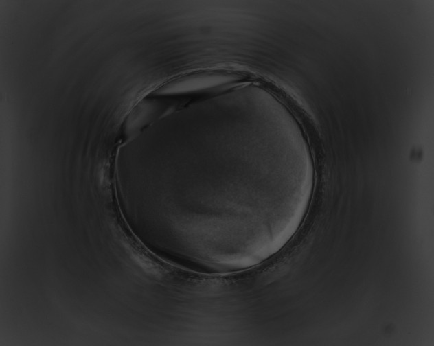 X0000091860881200710031038