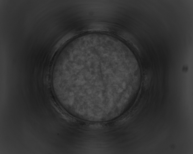 X0000091860882200710031038