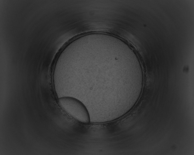 X0000091860883200710031038