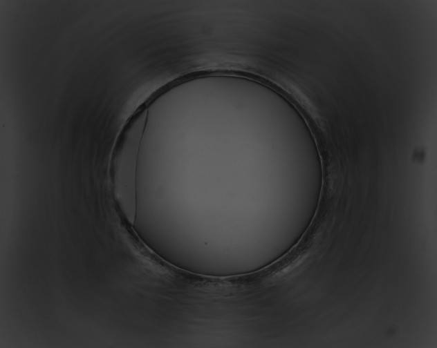 X0000091860885200710031038