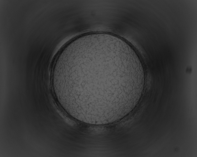 X0000091860886200710031038