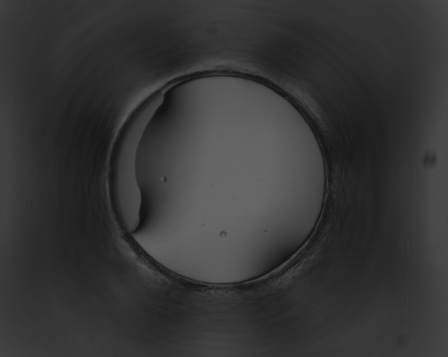 X0000091860888200710031038