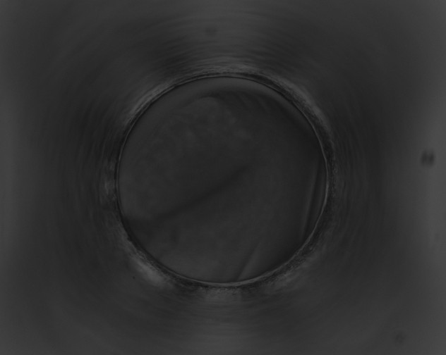 X0000091860889200710031038