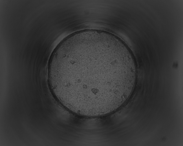 X0000091860891200710031038