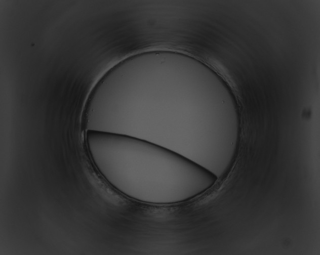 X0000091860892200710031038