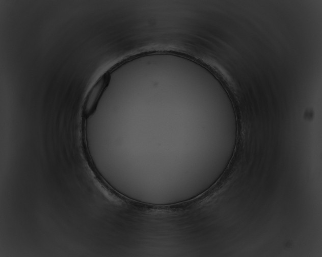 X0000091860894200710031038