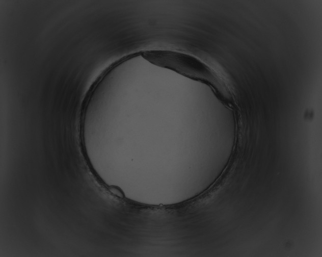 X0000091860896200710031038