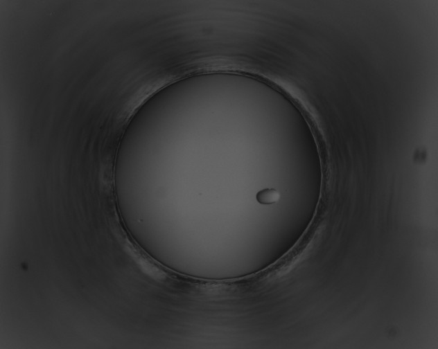 X0000091860897200710031038