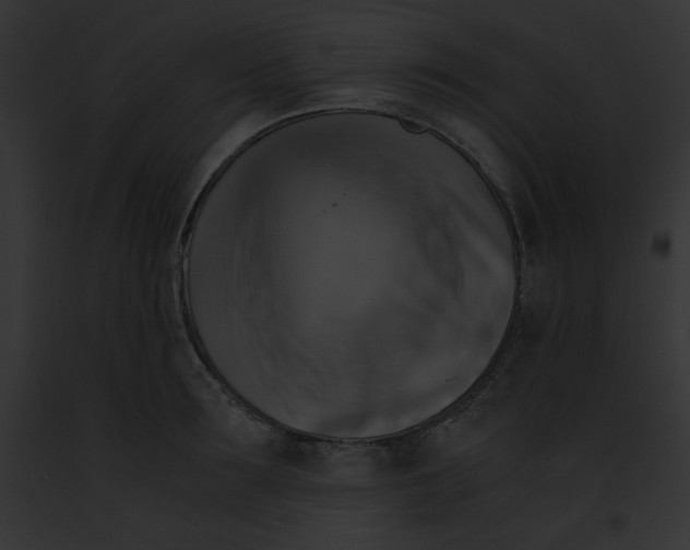 X0000091860899200710031038