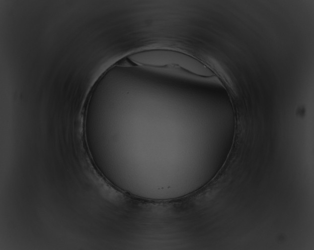 X0000091860900200710031038