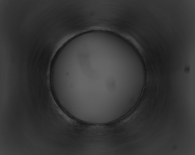 X0000091860902200710031038