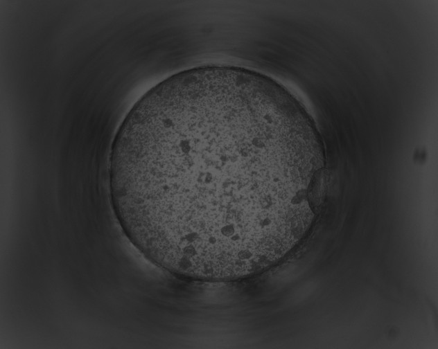 X0000091860903200710031038