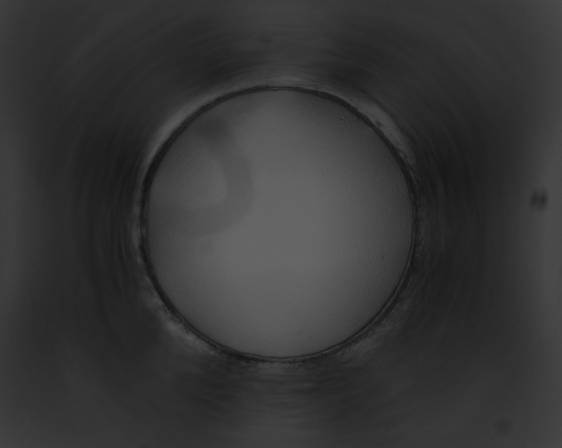 X0000091860904200710031038