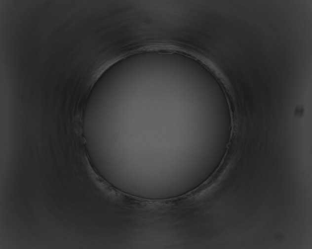 X0000091860905200710031038