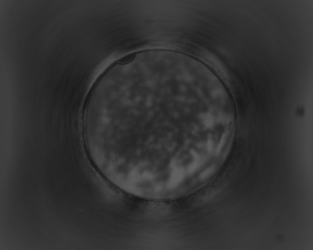 X0000091860907200710031038