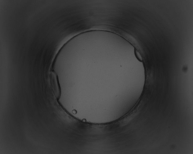 X0000091860908200710031038