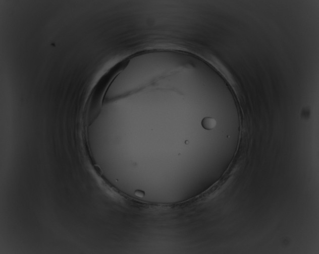 X0000091860909200710031038