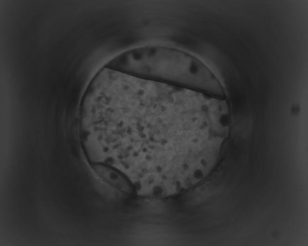 X0000091860911200710031038