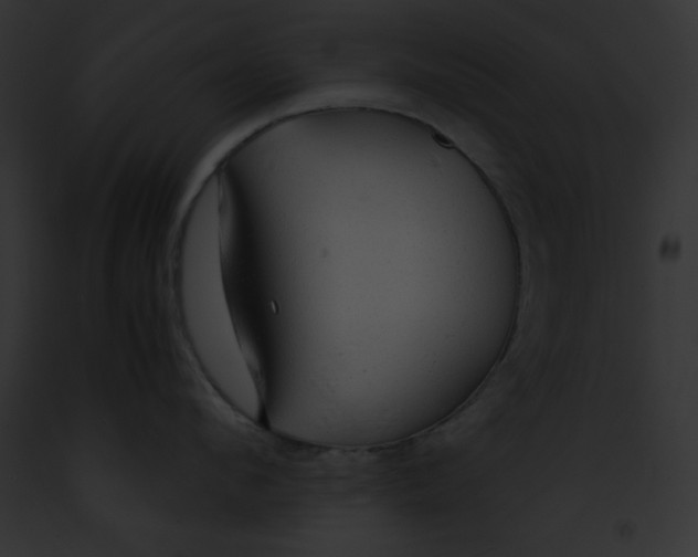 X0000091860912200710031038