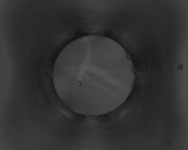 X0000091860913200710031037