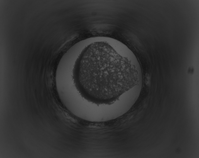 X0000091860915200710031037