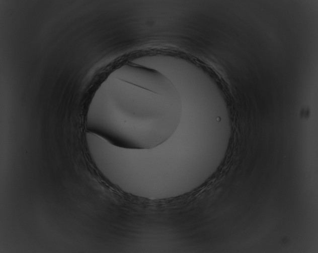 X0000091860920200710031037