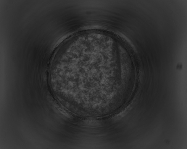 X0000091860921200710031037