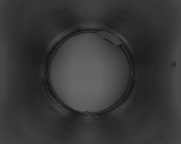 X0000091860922200710031037