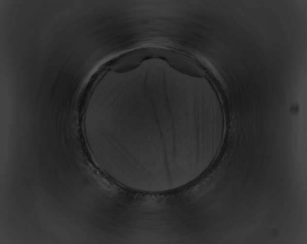 X0000091860923200710031037