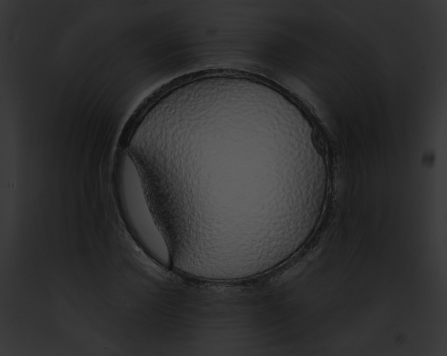 X0000091860924200710031037