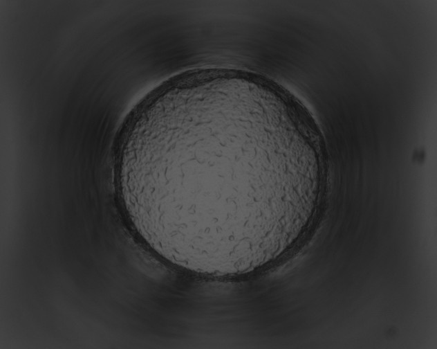 X0000091860925200710031037