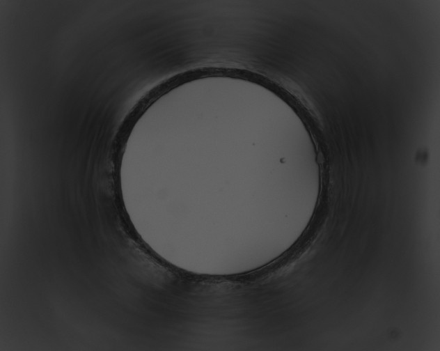 X0000091860926200710031037