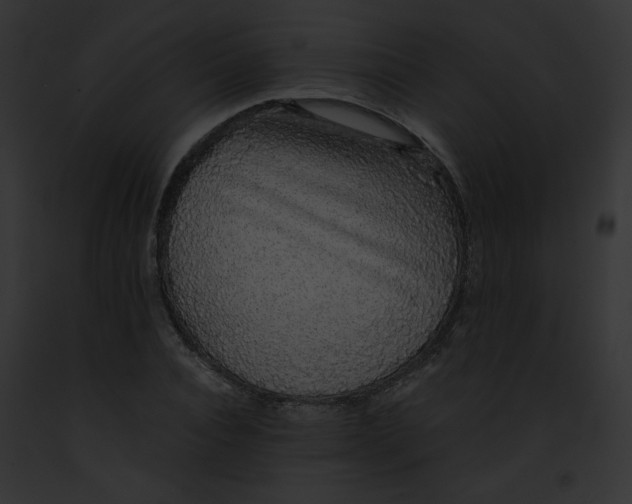 X0000091860928200710031037