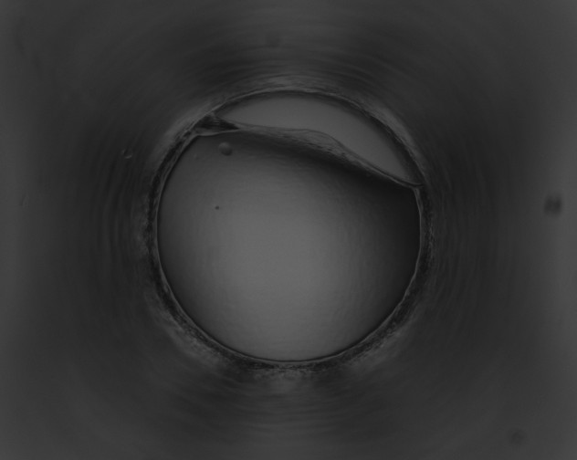 X0000091860930200710031037