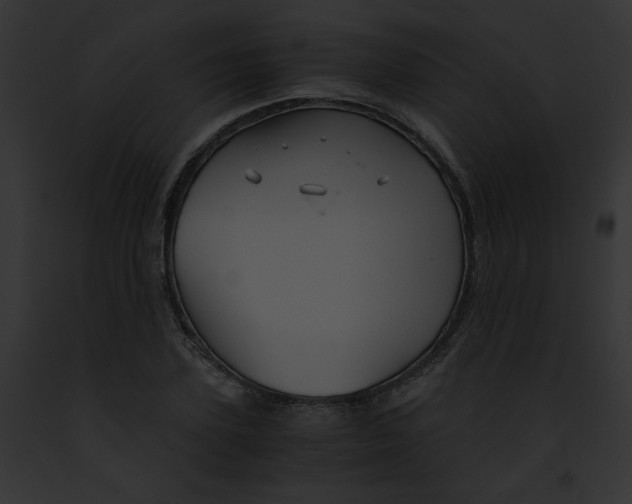 X0000091860931200710031037