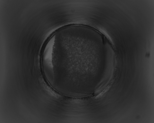 X0000091860932200710031037