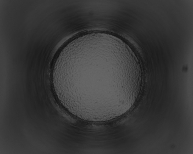 X0000091860933200710031037